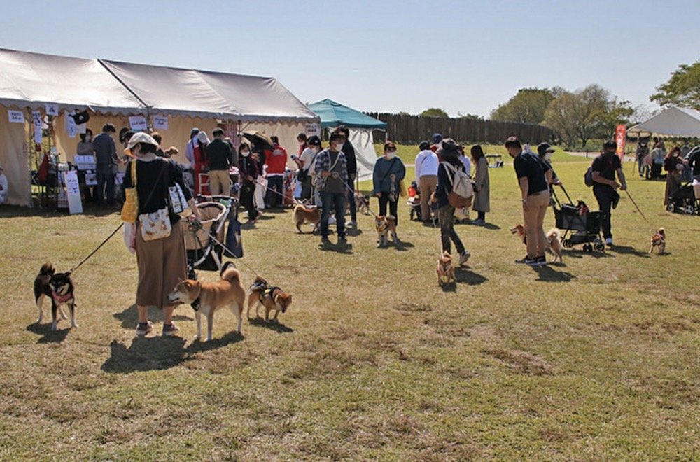 🏞️ 요시노가리 역사공원 (요시노가리레키시코엔) 이미지 13